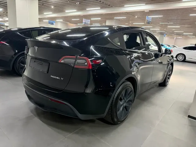 Tesla Model Y — Фото автомобиля 6