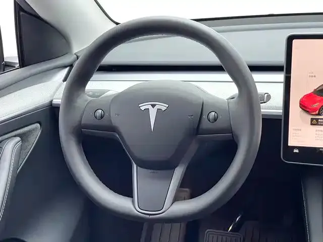 Tesla Model Y — Фото автомобиля 11