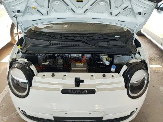 Changan Lumin — Фото автомобиля 15