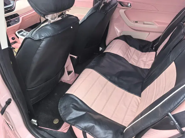 Changan Benben E-Star — Фото автомобиля 11