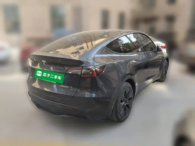 Tesla Model Y — Фото автомобиля 4