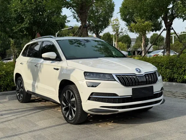 Skoda Karoq — Фото автомобиля 3