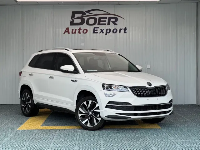 Skoda Karoq — Фото автомобиля 6