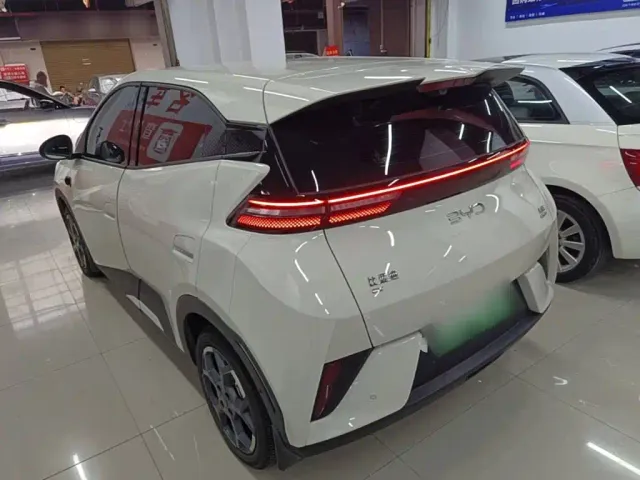 BYD Seagull — Фото автомобиля 4