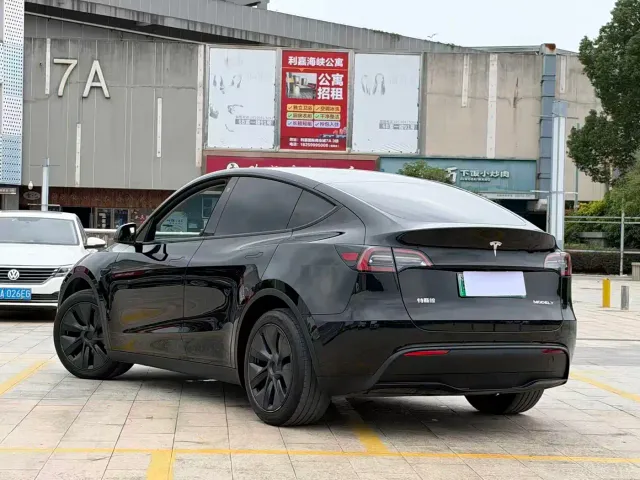 Tesla Model Y — Фото автомобиля 3