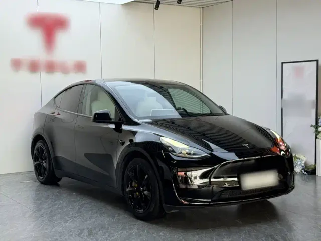 Tesla Model Y — Фото автомобиля 3