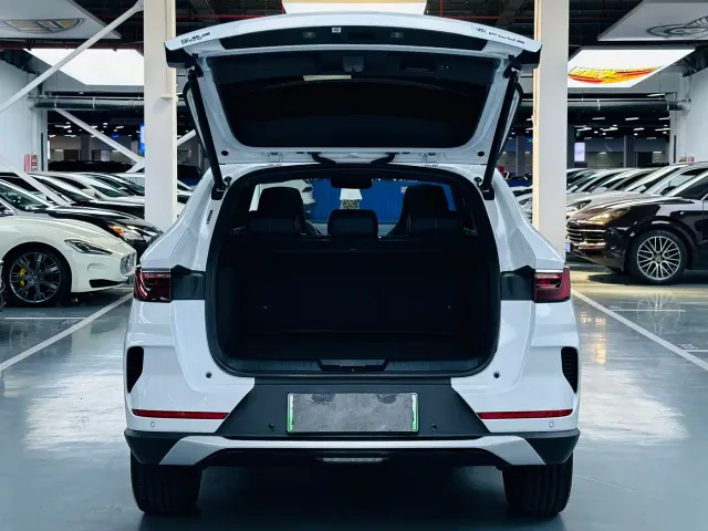 BYD Song PLUS PHEV 2021 DM-i 110KM Flagship PLUS — Фото автомобиля 11