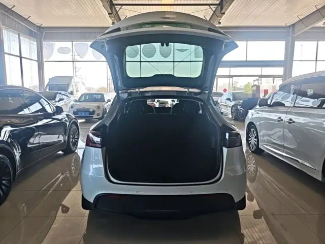Tesla Model Y — Фото автомобиля 18