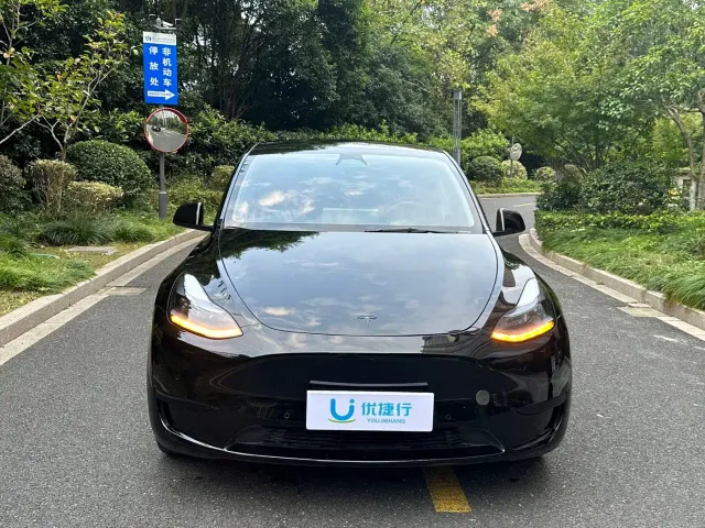 Tesla Model Y — Фото автомобиля 2