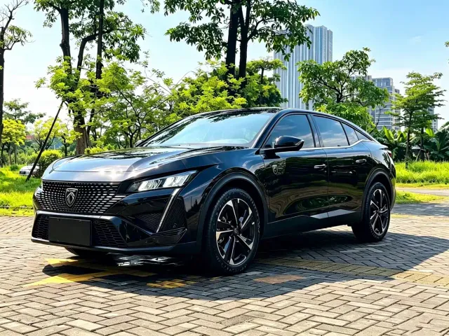 Фотография автомобиля — Peugeot 408X