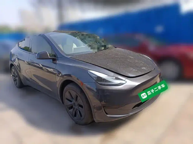 Tesla Model Y — Фото автомобиля 3
