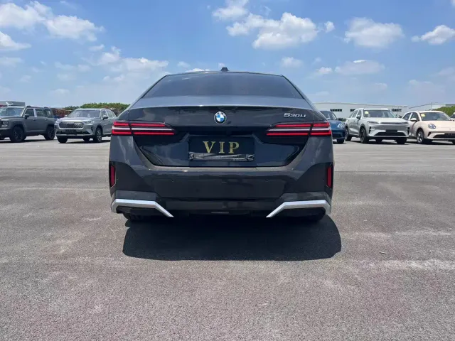 BMW 5 Series — Фото автомобиля 8