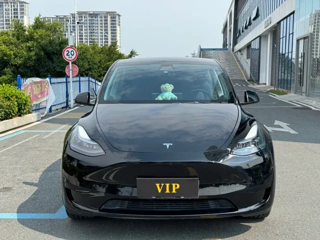 Tesla Model Y — Фото автомобиля 2