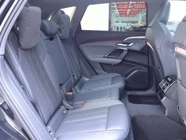 Audi Q5L — Фото автомобиля 22