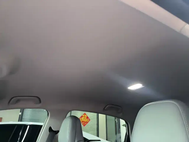 Geely Starry Wish — Фото автомобиля 17