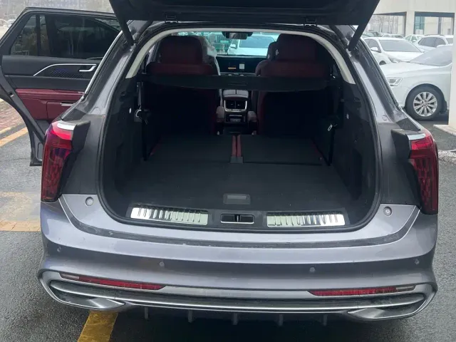 Hongqi E-HS9 — Фото автомобиля 15