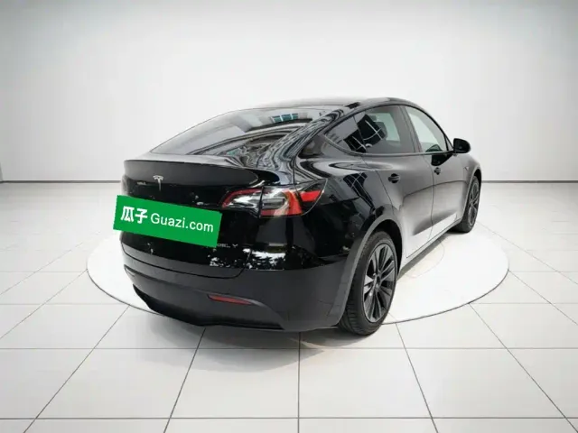 Tesla Model Y — Фото автомобиля 6