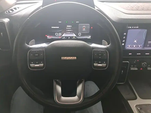 Haval Big Dog — Фото автомобиля 10