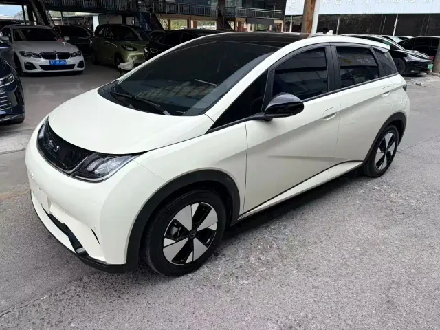 Фотография автомобиля — BYD Dolphin