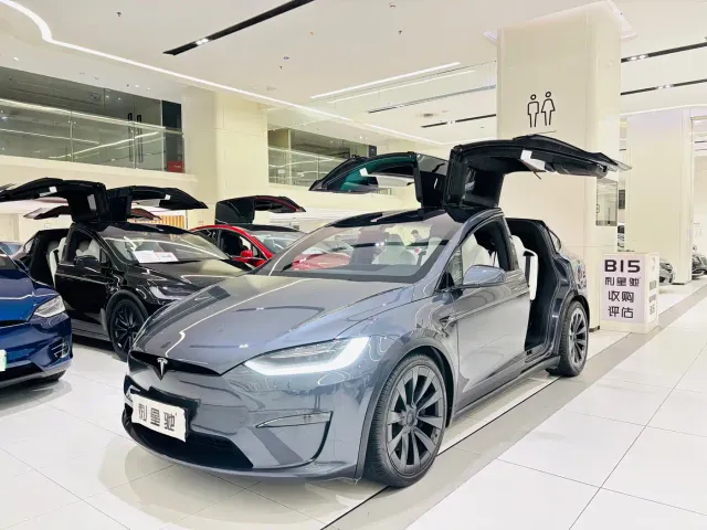 Фотография автомобиля — Tesla Model X
