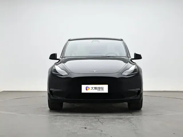 Tesla Model Y — Фото автомобиля 2