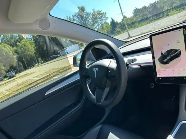 Tesla Model Y — Фото автомобиля 17