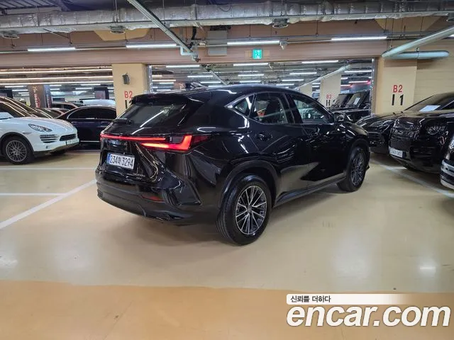 Lexus NX NX450h+ 2nd Gen — Фото автомобиля 2