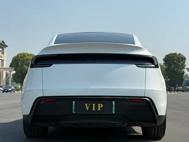 Tesla Model Y — Фото автомобиля 8