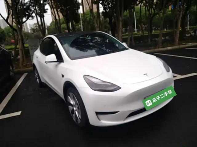 Tesla Model Y — Фото автомобиля 3