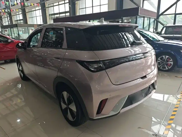 BYD Dolphin — Фото автомобиля 4