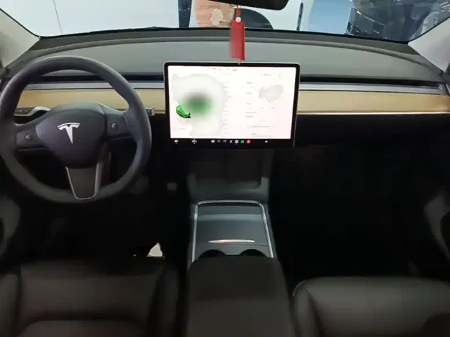 Tesla Model Y — Фото автомобиля 9