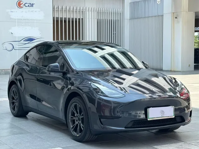 Tesla Model Y — Фото автомобиля 3