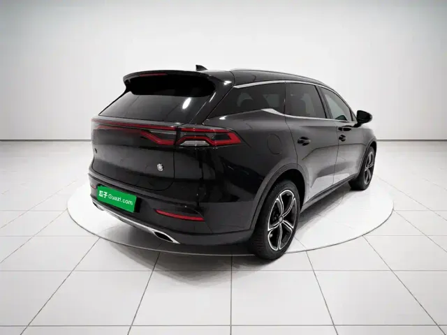 BYD Tang New Energy 2021 DM-i 112KM Honor — Фото автомобиля 6