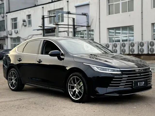 BYD Destroyer 05 — Фото автомобиля 4