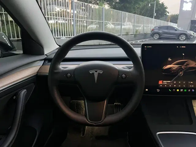 Tesla Model 3 — Фото автомобиля 13