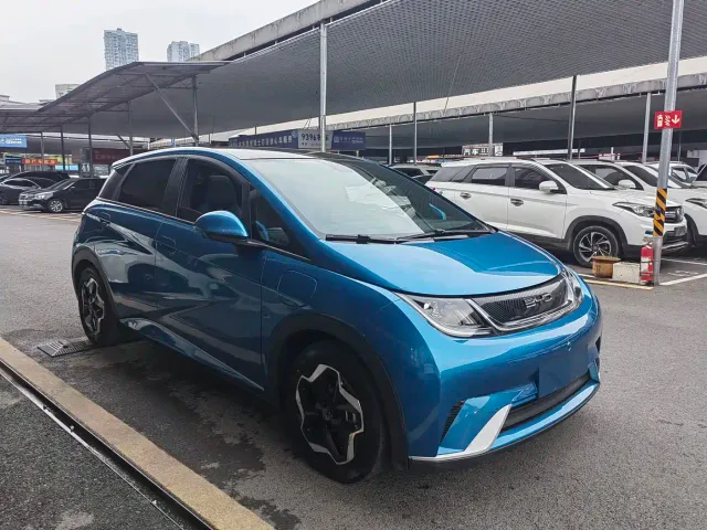 BYD Dolphin — Фото автомобиля 2