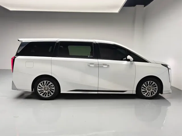 GAC Trumpchi Trumpchi M8 2023 Model Master Series 400T Flagship Edition — Фото автомобиля 8