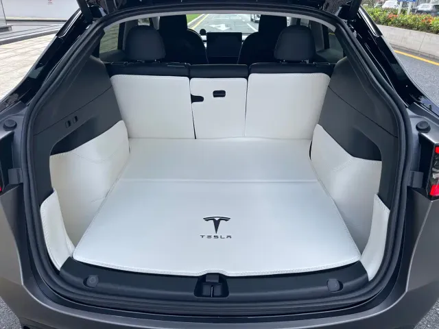 Tesla Model Y — Фото автомобиля 20