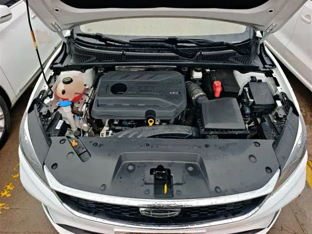 Geely Binrui — Фото автомобиля 12