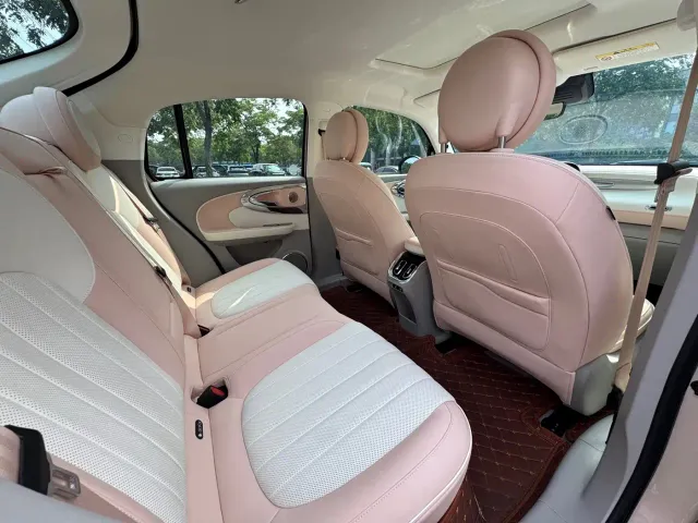 Ora Ora Ballet Cat 2022 500km Swan Lake Edition — Фото автомобиля 8