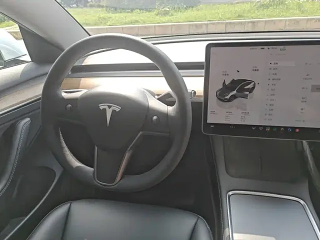 Tesla Model 3 — Фото автомобиля 10