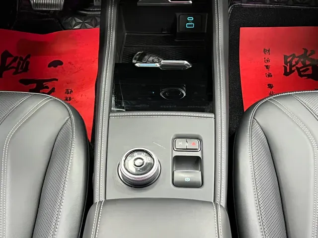 Ford Mustang Mach-E — Фото автомобиля 25