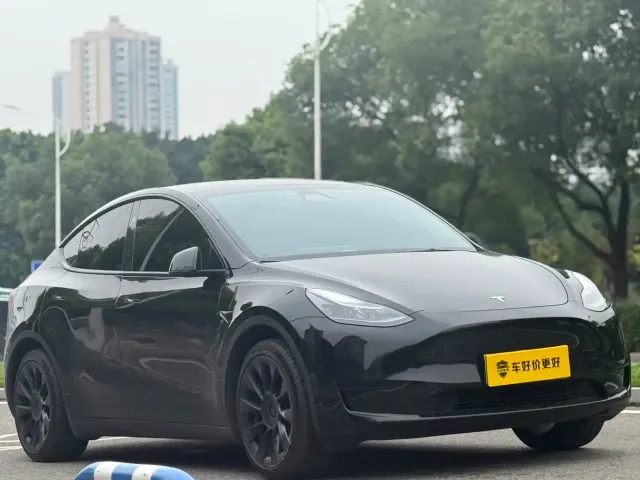 Tesla Model Y — Фото автомобиля 3