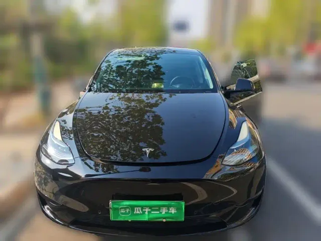 Tesla Model Y — Фото автомобиля 2