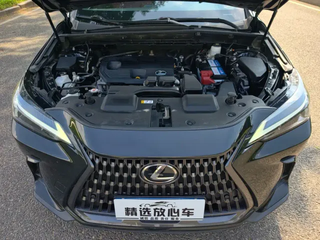 Lexus NX — Фото автомобиля 21