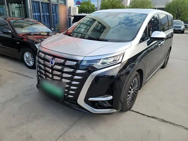 Фотография автомобиля — Denza D9
