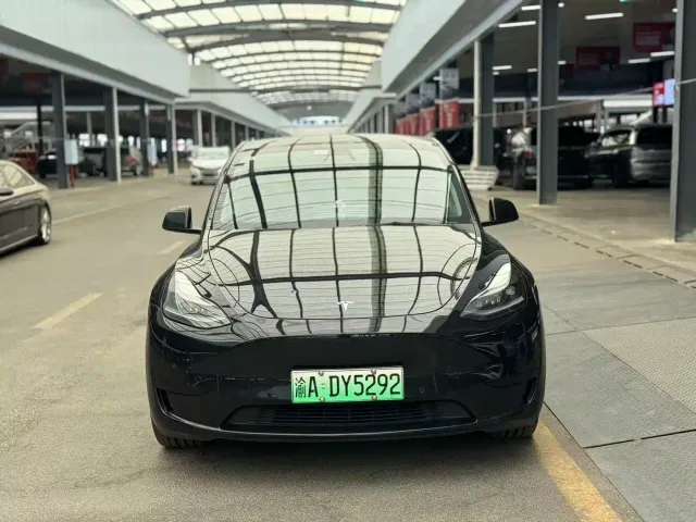 Tesla Model Y — Фото автомобиля 2