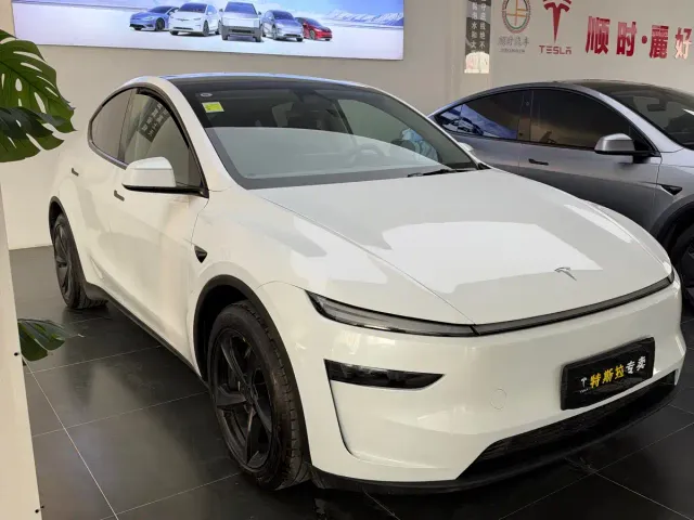 Tesla Model Y — Фото автомобиля 3
