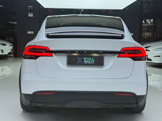 Tesla Model X — Фото автомобиля 10