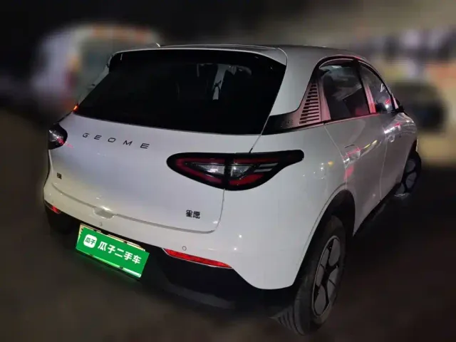 Geely Starry Wish — Фото автомобиля 4